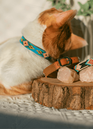 Blue Vogue Sambboho cat collar