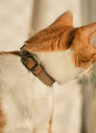 Blue Vogue Sambboho cat collar