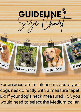 Saint-Tropez Sambboho Martingale dog collar (Training)