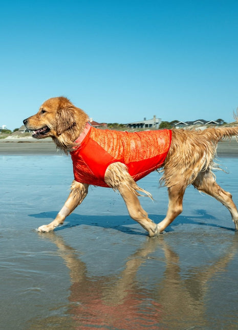 Body Glove Crystal Cool Pet Cooling Shirt