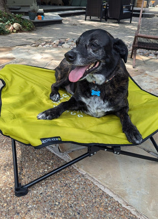 Body Glove Fold & Go Pet Cot