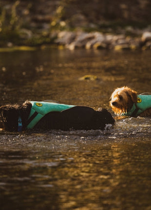 Body Glove Neoprene Pet Life Jacket