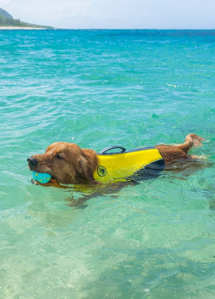 Body Glove Neoprene Pet Life Jacket