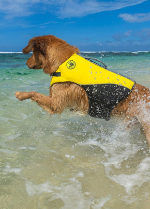 Body Glove Neoprene Pet Life Jacket