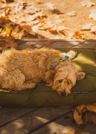 Body Glove Paintflower Pet Napper - Pet Bed