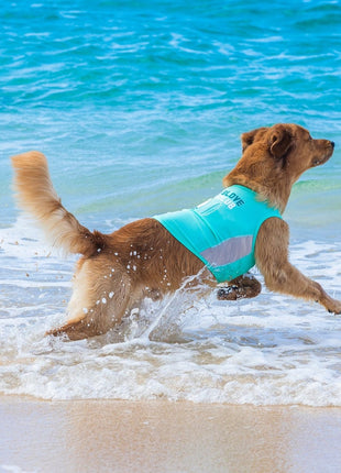 Body Glove Pet Sun Shirt