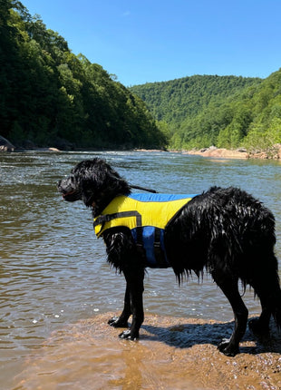 Body Glove Ripstop Pet Life Jacket