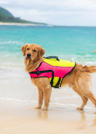 Body Glove Ripstop Pet Life Jacket