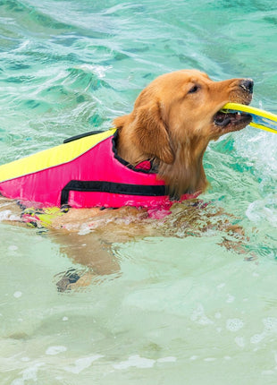 Body Glove Ripstop Pet Life Jacket