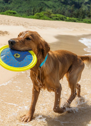 Body Glove Tough Toss Disc - Fetch Disk Toy For Dogs