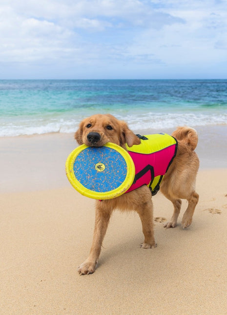 Body Glove Tough Toss Disc - Fetch Disk Toy For Dogs