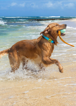 Body Glove Tough Tug Toy - Rope Toy For Dogs