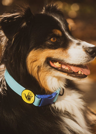 Body Glove Waterproof Dog Collar - Pup List