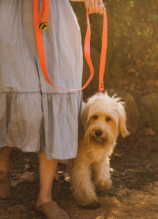 Body Glove Waterproof Dog Leash