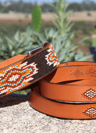 Matching leash/dog collar Boho Chic Sambboho Bundle