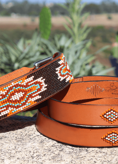 Matching leash/dog collar Boho Chic Sambboho Bundle