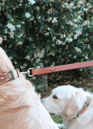 Matching leash/dog collar Boho Chic Sambboho Bundle