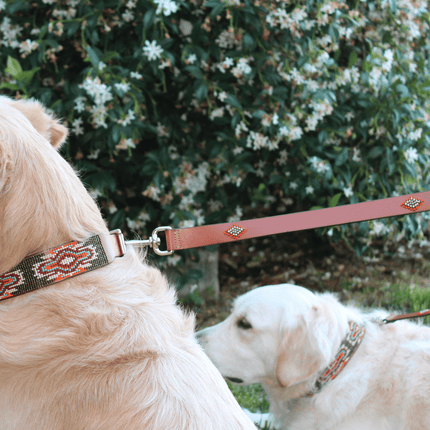 Matching leash/dog collar Boho Chic Sambboho Bundle