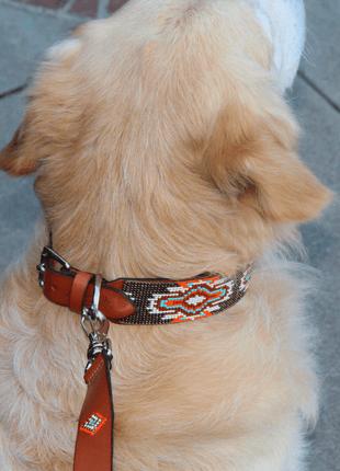 Matching leash/dog collar Boho Chic Sambboho Bundle
