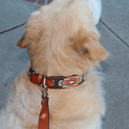 Matching leash/dog collar Boho Chic Sambboho Bundle