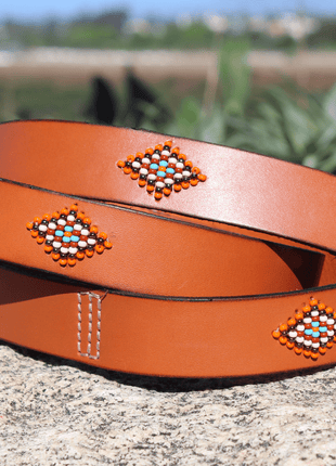 Matching leash/dog collar Boho Chic Sambboho Bundle