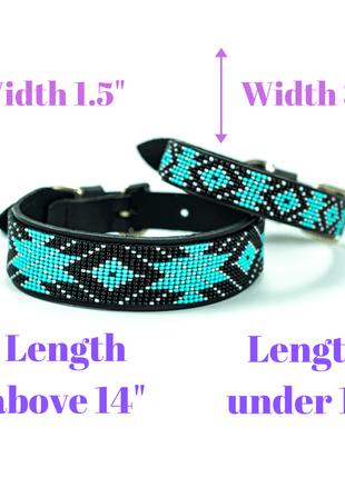 Matching leash/dog collar Saint Barth Sambboho Bundle