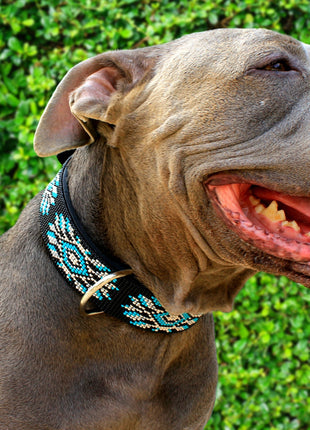 Bora Bora Sambboho dog collar (with center D-ring)
