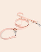 Dog Leash - Pup List
