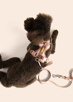 Dog Leash - Pup List