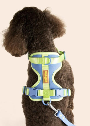 Dog Harness - Pup List