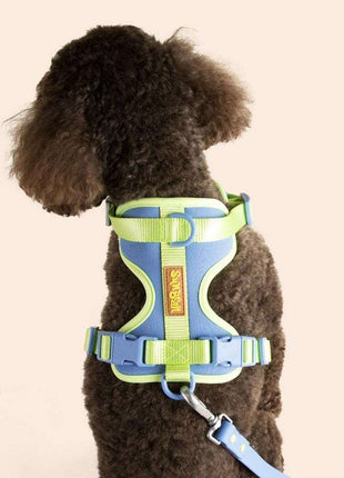 Dog Harness
