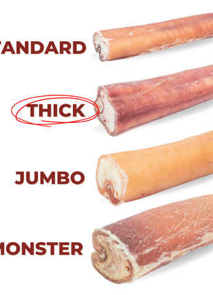 6 Inch Thick Bully Stick