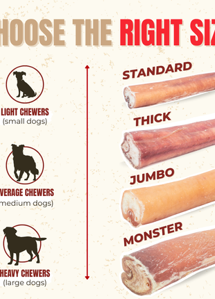 12 Inch Jumbo Bully Stick