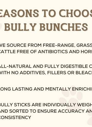 6 Inch Standard Bully Stick