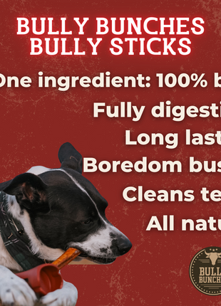 6 Inch Jumbo Braided Bully Stick