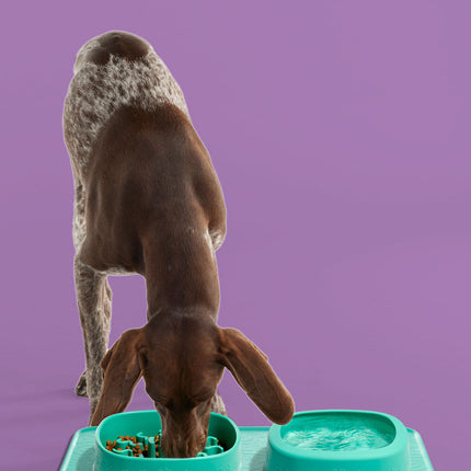 SplashMat