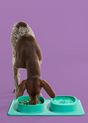 MealTime Bundle