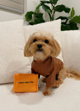 CHEWY PAWTTON PLUSH DOG TOY