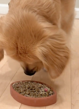 FreezFootball - Tough Enrichment Football Toy