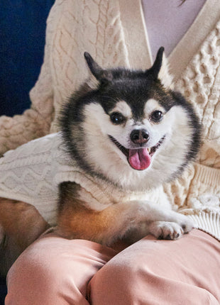 Nooee Pet Off White Wool Cable Sweater