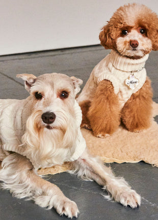 Nooee Pet Off White Wool Cable Sweater