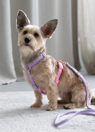 Lavender and Pink - Dog Harness - Pup List