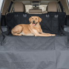 Universally Compatible Car Cover