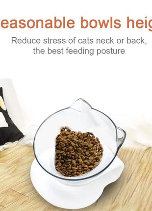 Cat Bowl Pet Food Bowl