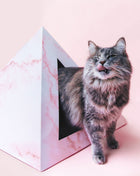 'Rose Quartz' Cardboard Cat Pyramid