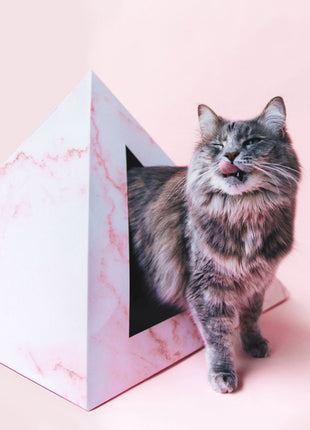 'Rose Quartz' Cardboard Cat Pyramid