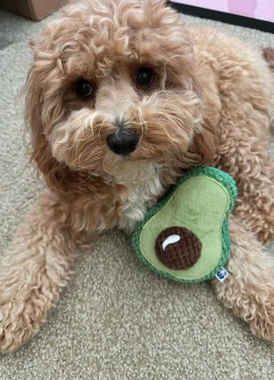 Avocado