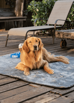 PupProtector™ Short Fur Waterproof Throw Blanket - Charcoal Grey