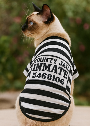 Parisian Pet 'Furry Inmate' Black and White Stripes Halloween Costume - Funny Prison Design for Cats & Dogs