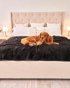 PupProtector™ Short Fur Waterproof Throw Blanket - Midnight Black